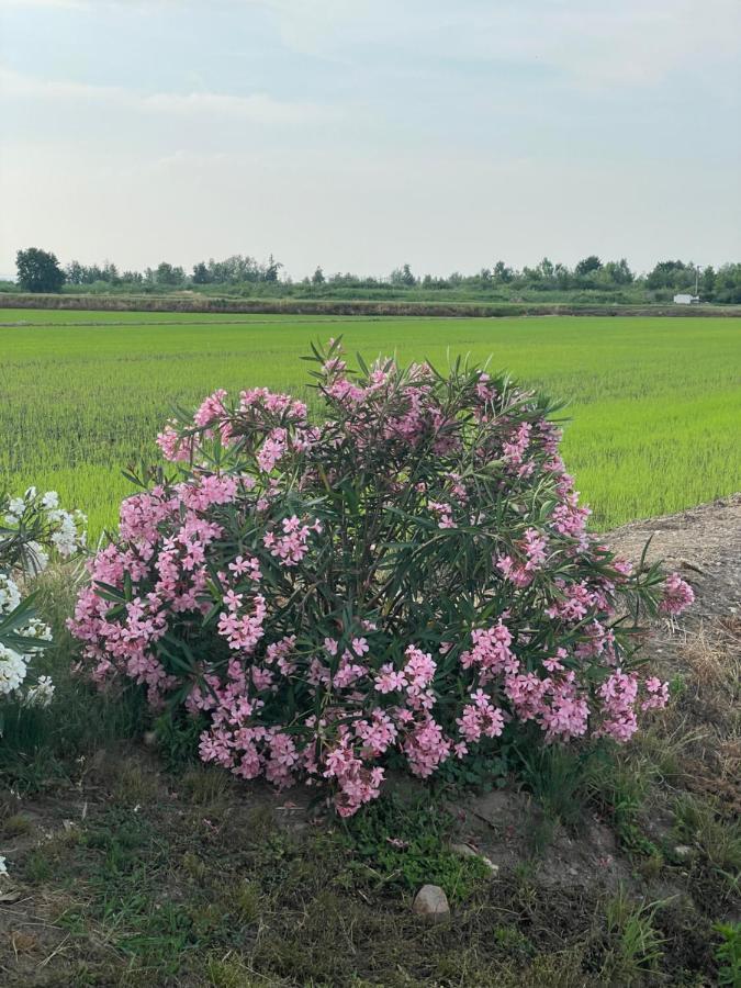 Tenuta Favorita Country House B&B Fontanetto Po 外观 照片